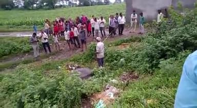 सीतामऊ: #दलावदा विद्युत मंडल की लापरवाही के कारण हुआ बड़ा हादसा गांव दलावदा में भैंस के करंट लगने से मौत हो गई देवीलाल जी कुशवाह