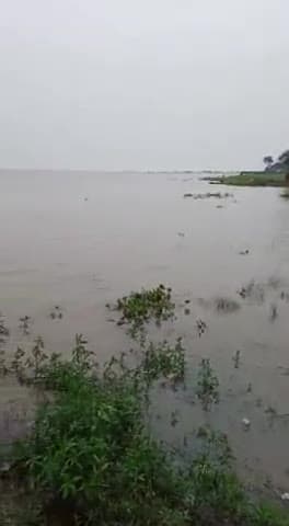 बड़हरा: बड़हरा थाना क्षेत्र के अंतर गत ज्ञानपुर सेमरिया में जग शाला पर चढ़ा चुका है#national_news #abpnews