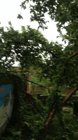#Anandpur gaon mein Hui Puri tasteride barish