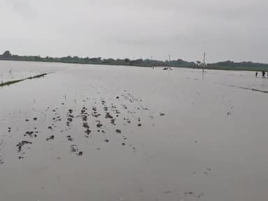 मुहम्मदाबाद: Sherpur Kalan bad aa gaya hai.#sherpur #ghazipur @sherpur @vghazipur#