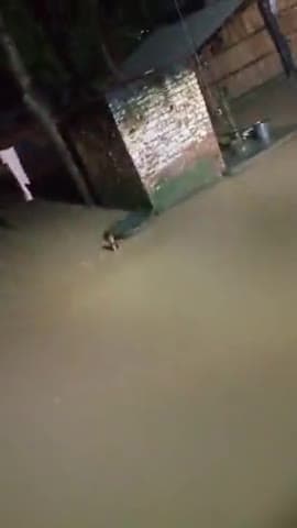 लंभुआ: lakhipur kapsa saroj Basti ka hal nali na saf hone Ke Karn aur nali ko @#pat diya gaya hai