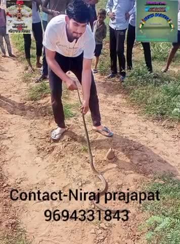 बेकिंग न्यूज़ बदलेटा गांव का लड़का 🙏 @news24raj @todabhimnews @shivanshm170 #vishnujaga #vkbadleta