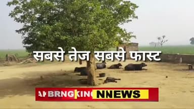 #Bhartpur वार्ड नंबर 33 बीजेपी उम्मीदवार
#नगर #p4mewat #MustakAhmad