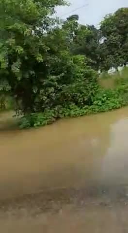 बलिया: NH-31 पे सोहाव ब्लॉक के सामने रोड पे चढ़ा गंगा नदी का पानी, लोगों को आने जाने में हो रही है बहुत मुसी
#bealert