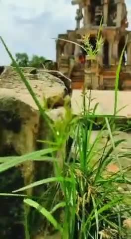 हमारे जिला मुरैना का प्रसिद्ध ककनमठ शिव मंदिर।
#travel #tourism #morena #madhyapardesh #temple #god #beauty #nature