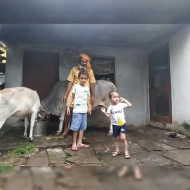 #गऊ #सेवा #सनातन #धर्म
आज गऊ माता की सेवा के साथ भजन सुनने का सौभाग्य मिला।