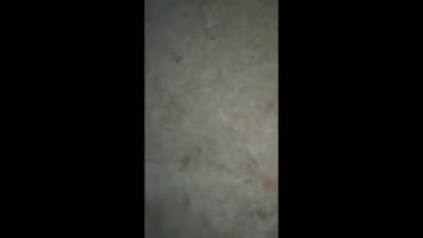 कल रात रामपुरा मोहल्ले में निकला chekard keel back सांप#snakevideo #snakerescuer 
सर्प मित्र हिमांशु जैन-7049454940