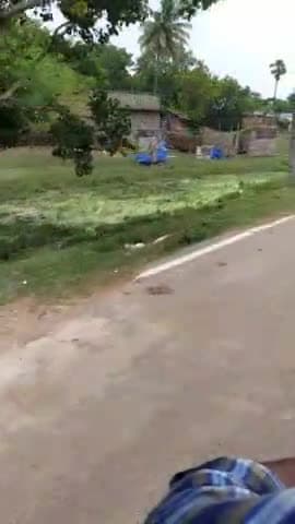 #KAMARGANJ:GAON SE NIKLA BAARH KA PAANI AUR LAGNE LGA BHUT SAARE BIMARIO KA DUR AUR KISAN KA FASAL V BARBAAD ....