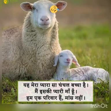 #Have mercy on them.
इनका भी जीने का अधिकार है
इन इन्हे गौर से देखें क्या ये सिर्फ आपके लिए एक एक टाइम का भोजन है