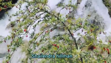 मिल्की वॉटर फॉल @जखोली ब्लॉक
#uttrakhand #uttrakhand_news #rudraprayag #Jakholiblock #shailendrahillman