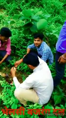 बल्देवगढ़: #आज ग्राम भेलसी में गाय को मारी टक्कर जिसकी सूचना हमको ग्राम वासियों ने बजरंग दल वालों को दी🚩🚩#बल्देवगढ़