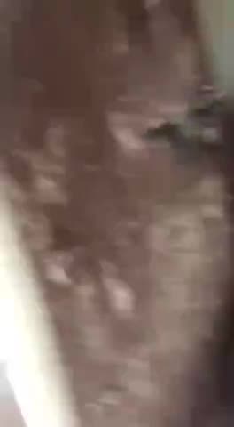 भिवानी के गांव सुंगरपुर में इनके शरीर में गांठे थी जो ipulse juce पीने से कितना आराम है सुनिए लाइव रिपोर्ट #8708271127