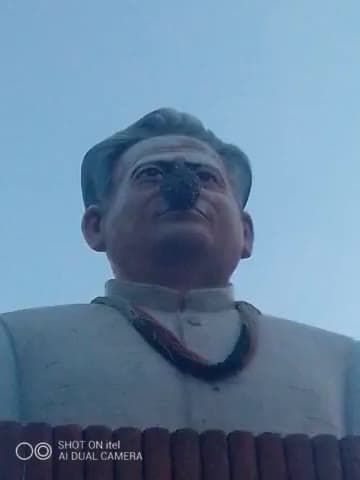 राजस्थान के पूर्व मुख्यमंत्री जयनारायण व्यास की मूर्ति पे मधुमक्खी यो ने डाला डेरा।#ashokgahlot #pokaran #sachin_pilot