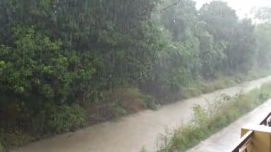 बुलंदशहर: Bulandshahr ke goan bhalimpura ma dupar ko hue jeet barish.
#bulandshahr #bhalimpura