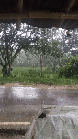 तारडीह: मौसम खराब मूसलाधार बारिश से क्षेत्र हुआ अस्त-व्यस्त
#rainyday #rain #wetherupdate