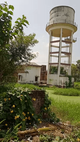 पानी टंकी खराब होने से सभी ग्रामवासी निराश है क्योंकि पानी नहीं मिल रहा है इसलिए सब गुस्सा हो गए सरकार 
sn#niraj@kumar