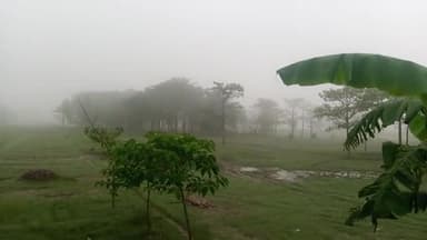 मुशहरी: #muzzafarpur #minapur हर शेर गांव में धन को लेकर कोहरा शुरू हो गया है आज देखते