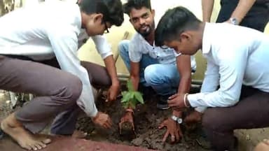 अखिल भारतीय विद्यार्थी परिषद के कार्यकर्ताओं द्वारा सरस्वती शिशु मंदिर चांपा में वृक्षारोपण किया गया #rss #abvp #चांपा