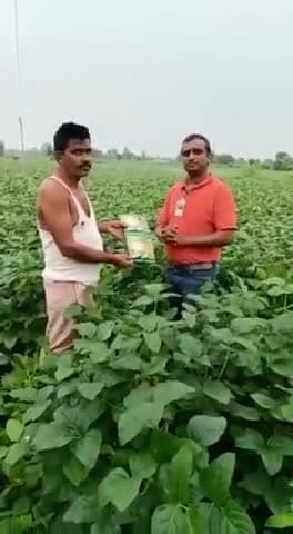 101% फायदेमंद खेती #उन्नत खेती@ जैविक खेती अधिक जानकारी के लिए संपर्क करें 8962753814,7566605511