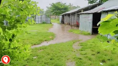 Balrampur: प्रखंड में कल से हो रही झमाझम बारिश।#मौसम_समाचार #weatherinformationbihar
