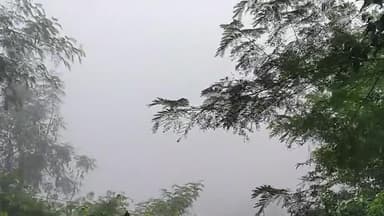 today's weather घना कोहरा #कोहरा #weatherupdates #सलकनपुर