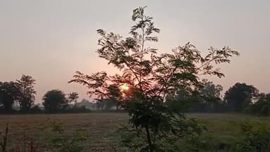 #आज का मंत्र #सूर्य उदय से पहले उठे #योग #व्यायाम #ध्यान करें स्वयं स्वस्थ रहें #भारत को स्वस्थ रखें