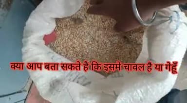 #पशुओं के खाने के लायक भी नहीं मिले रासन इस बार कोटा में || डिलर का कहना है कि हमको जैसा मिलेगा वैसा ही न हम बांटेंगे !