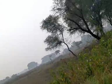 हुज़ूर: @rahulsinghaima26 @public.jaitaran #modi_rojgar_do #road #village #