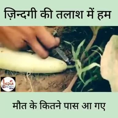 जैविक खेती अपनानी ही पड़ेगी।
अधिक जानकारी के लिए संपर्क करें। जैविक खेती#उन्नत खेती@ 8962753814,7566605511