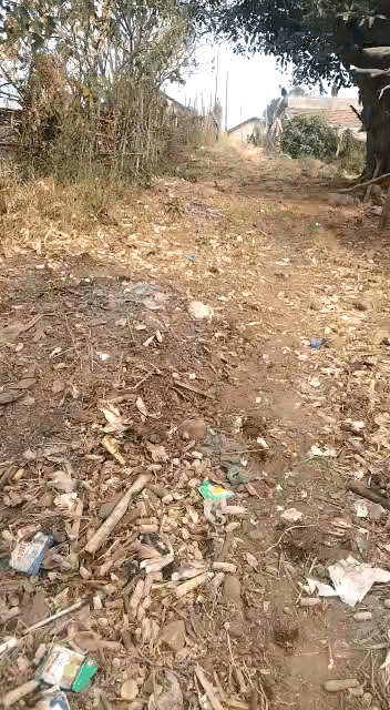 छिंदवाड़ा नगर: हर्रई की ग्राम पंचायत मढ़ी के ग्राम पाढो मै रोड और पानी की समस्या ग्रामीण हो रहे हैं परेशान नहीं दे #छिंदवाड़ा#हर्रई