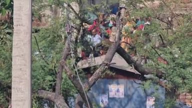 Ghoswari प्रखंड के trimuhani गांव में बरामद क्या गया शराब #Ghoswari #trimuhani #Trimuhan #mokama #patna #balva