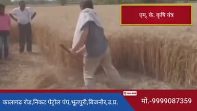 अब पायें पेट्रोल और ड़ीजल के खर्च से आजादी, गेहूँ कटाई मे,खडे होकर हाथ से गेहूँ काटने वाली मशीन पेश है #indianscythe #mk