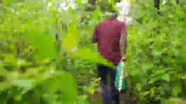 बस्तर: जानिए करैत सांप के हमशक्ल सांप के बारे में।
#बस्तर #जगदलपुर #बकावंड #सांप #करैत  @deeptibajpai2099 @bastar1783
