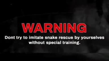 बस्तर: घर के आंगन में दिखा जहरीला नाग सांप🐍😱
#बस्तर #जगदलपुर #दरभा @deeptibajpai2099 @bastar1783 #bakawand #सांप #नाग