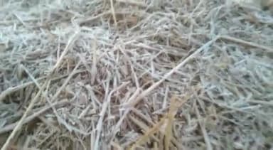 #कटंगी में कड़ाके की ठंड पुवाल पर जमी #बर्फ
