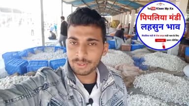 पिपलिया मंडी से लहसुन का भाव 21 दिसंबर 2021 आज कितनी तेजी या मंदी 🤔#news #kisan #garlic @kisanmpka