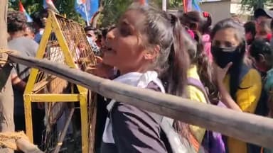 तेज़ी से सोशल मीडिया में वायरल होती हुई आदिवासी लड़की #vairal_video
@news17madhyapradesh @news24mpchg @news24official