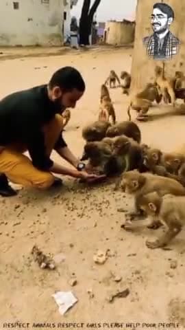 ❤️😊
Respect Girls please help poor people. #apsgurjar
#animal #animals #happy #happylife #respectgirls