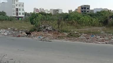 बड़गांव: सब सीटी सेंटर के अंदर व्रताकार सड़क के चारों ओर कई दिनों से पड़ा है ढेर सारा कचरा। 
#smartcityudaipur