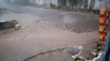 #तामिया में हो रही जोरदार बारिश मंगलवार के दिन 1:00 बजे से बारिश होने से किसानों के फसलों को होगा फायदा शीत लहर के ठंड@