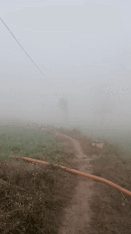 कोलारस: kolaras me kohora ☄️🌬️🌬️#newsbyrakeshyada @newsnation_team @newsxofficial @news.hindustan24x7 @newsnow18