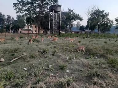 जिम कॉर्बेट नेशनल पार्क ढिकाला रामगंगा नदी उत्तराखंड
आप को नव वर्ष की हार्दिक शुभकामनाएं ।।
#HappyNewYear2022
