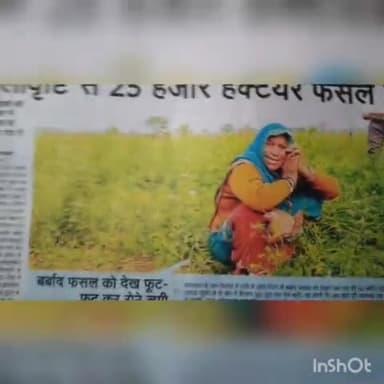 ओला वृष्टि से किसान परेशान
#kisano #covid