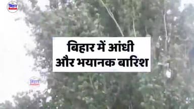 #मौसम विभाग ने बिहार के इन #जिलों के लिए जारी की अलर्ट, तेज हवा के साथ #बारिश #मौसम_सर्दी