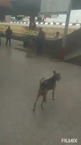 Patna junction Bina mask ke log Yatra kar rahe hai#biharnewslivedaily