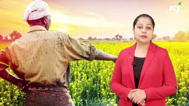 किसानों को प्रति एकड़ की दर से मिलेगी अनुदान राशि
#rajivgandhi #agriculturelife #agriculturescheme #agriculture