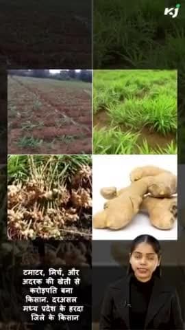 इंटरव्यू लेने किसान के घर पहुंचे कृषि मंत्री | Krishi Jagran
#agricultureminister #farmers #farmersinterview