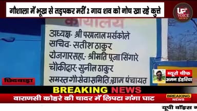 उमरेठ: #छिदवाड़ा_गोशाला में गोवंशों की चारे-पानी के अभाव में मौत हो रही
#bhopal #indorelynching #shivraj #chhindwara