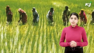 Rural India का Digitization होगा शुरू  #KrishiJagran #AgroTech #ProfitableBusiness  #NeemLeaf