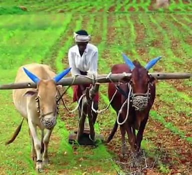 जो किसानों के ना दे उनका अधिकार..
क्या चाहिए आपको ऐसी सरकार??
#नहीं_चाहिए_भाजपा